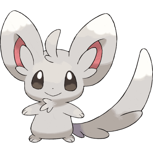 Minccino