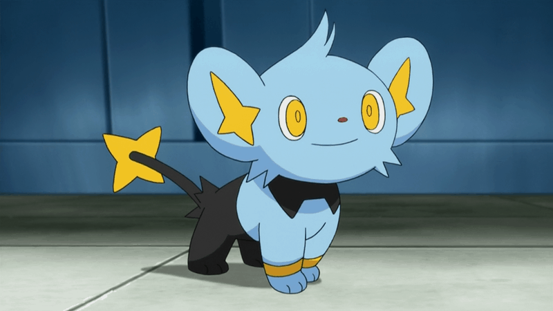 Shinx Guide