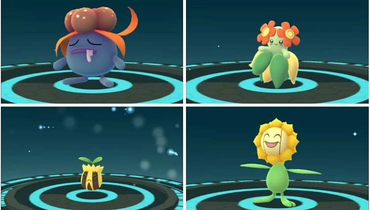 Sunkern in Pokémon Go