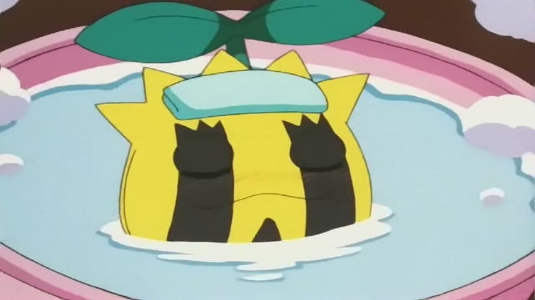 Sunkern in the Pokémon Anime