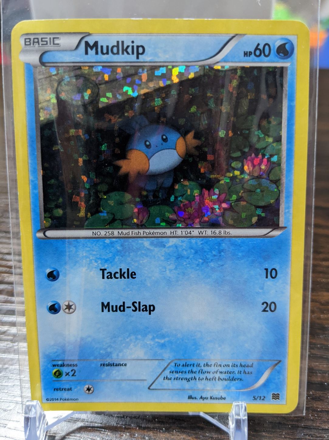 McDonald’s Happy Meals Pokemon Cards Guide Holofoil Mudkip