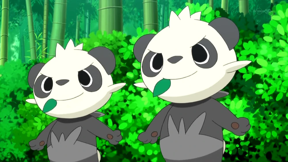Pancham Duo