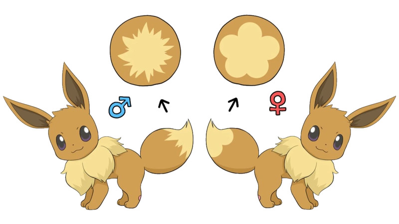 Eevee's Friendship Level