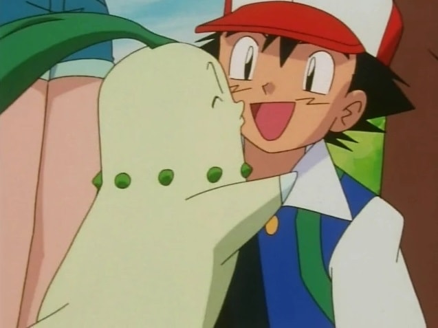 The Chikorita Rescue 