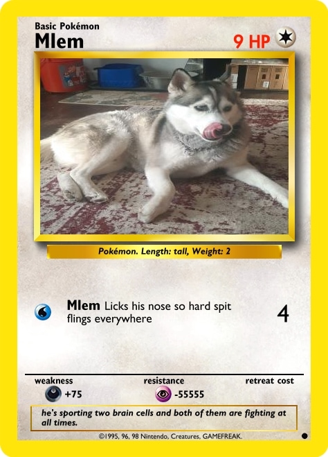 Custom Pokemon Card 2