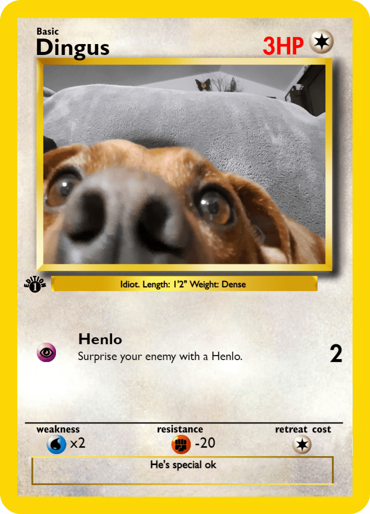 dingus poke card