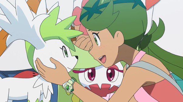 Looking to the Future