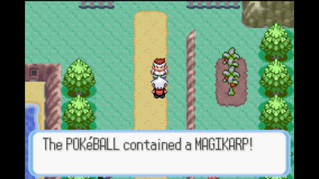 getting HM03 surf in route 115 in snakewood