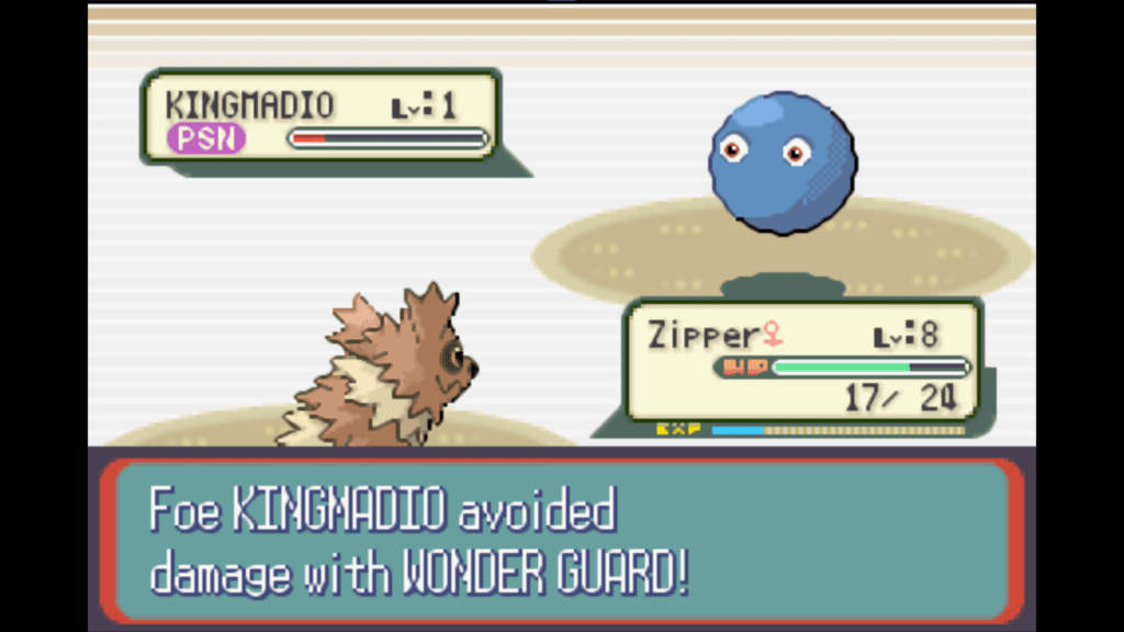 battling haruko in dewford gym