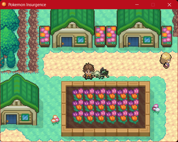 pokemon insurgence nasca town