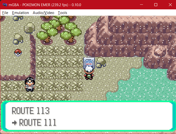 route 113