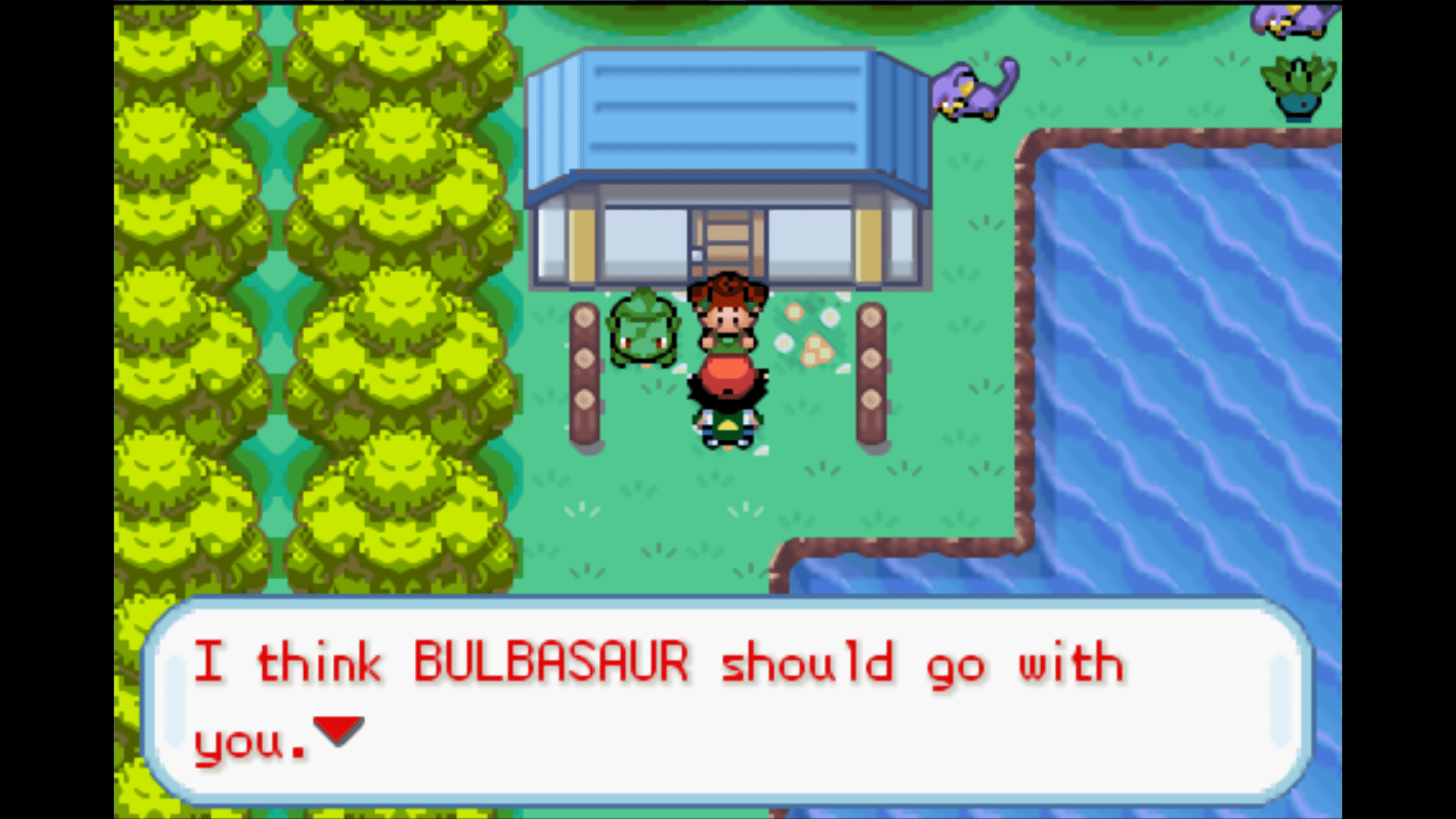 Catching Bulbasaur in Ash Gray