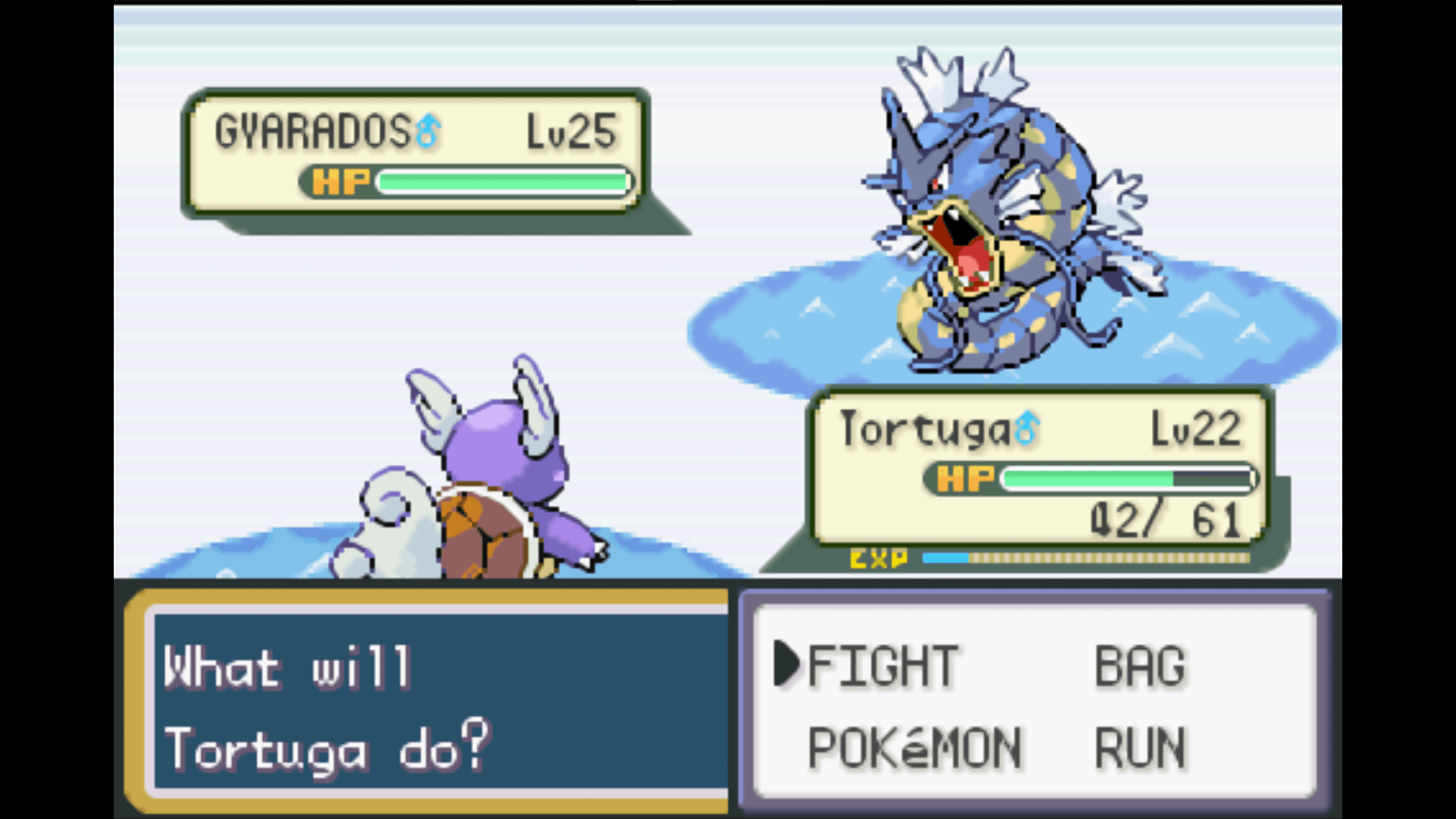 gyarados attacking tortuga