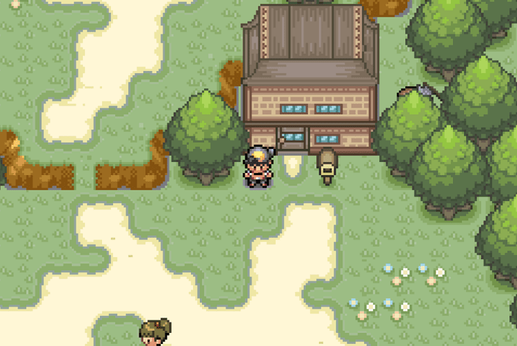 pokemon dark cry longhorn village