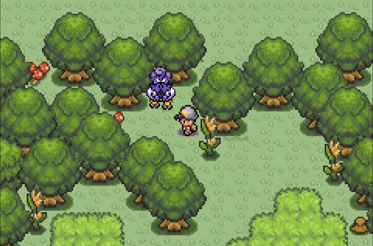 pokemon dark cry miracle forest