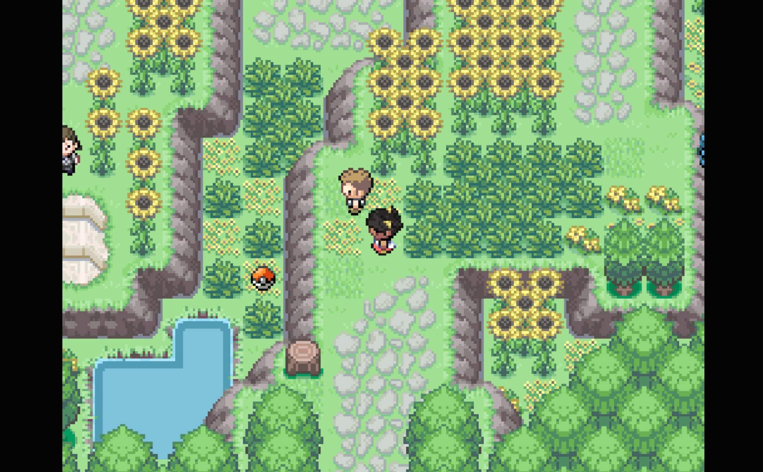 Pokemon Halcyon Lamicei Meadow Man in Black