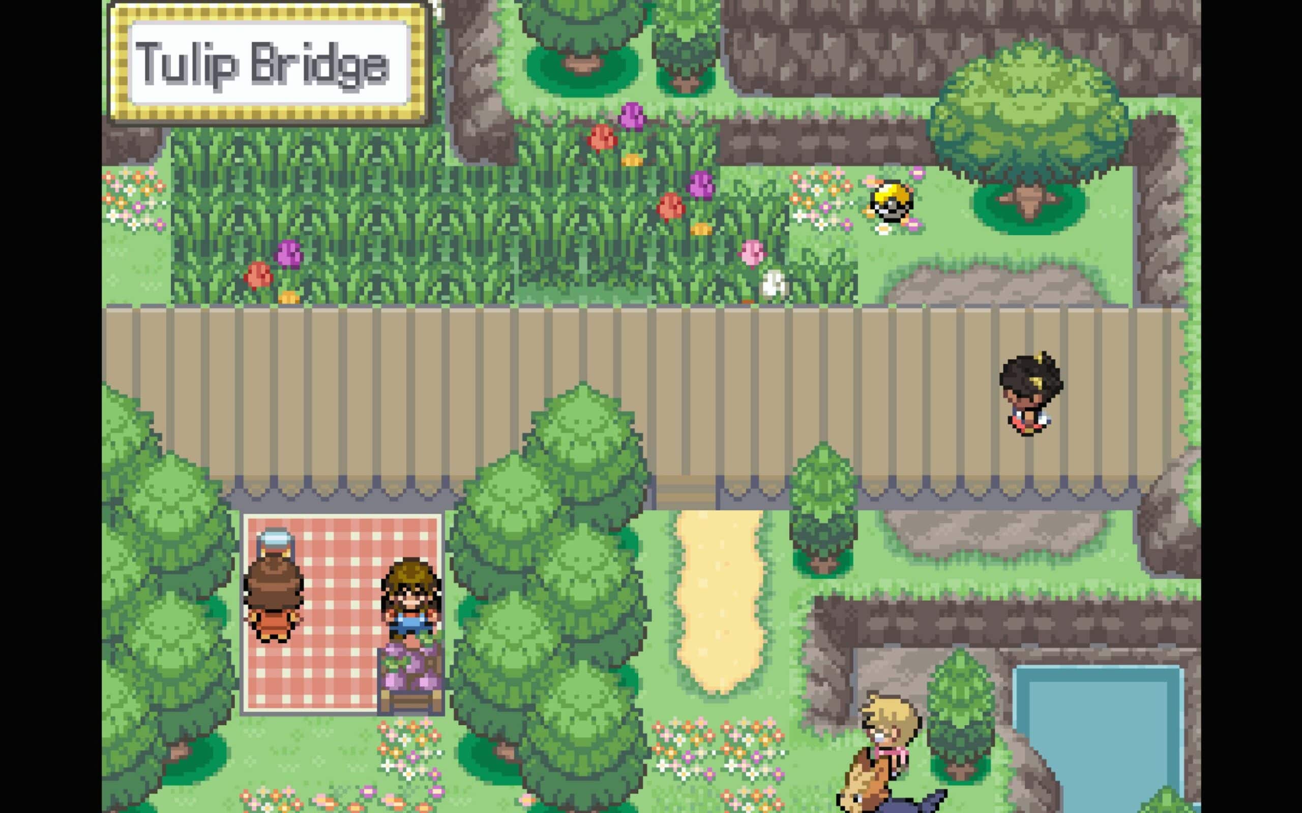 Pokemon Halcyon Tulip Bridge 