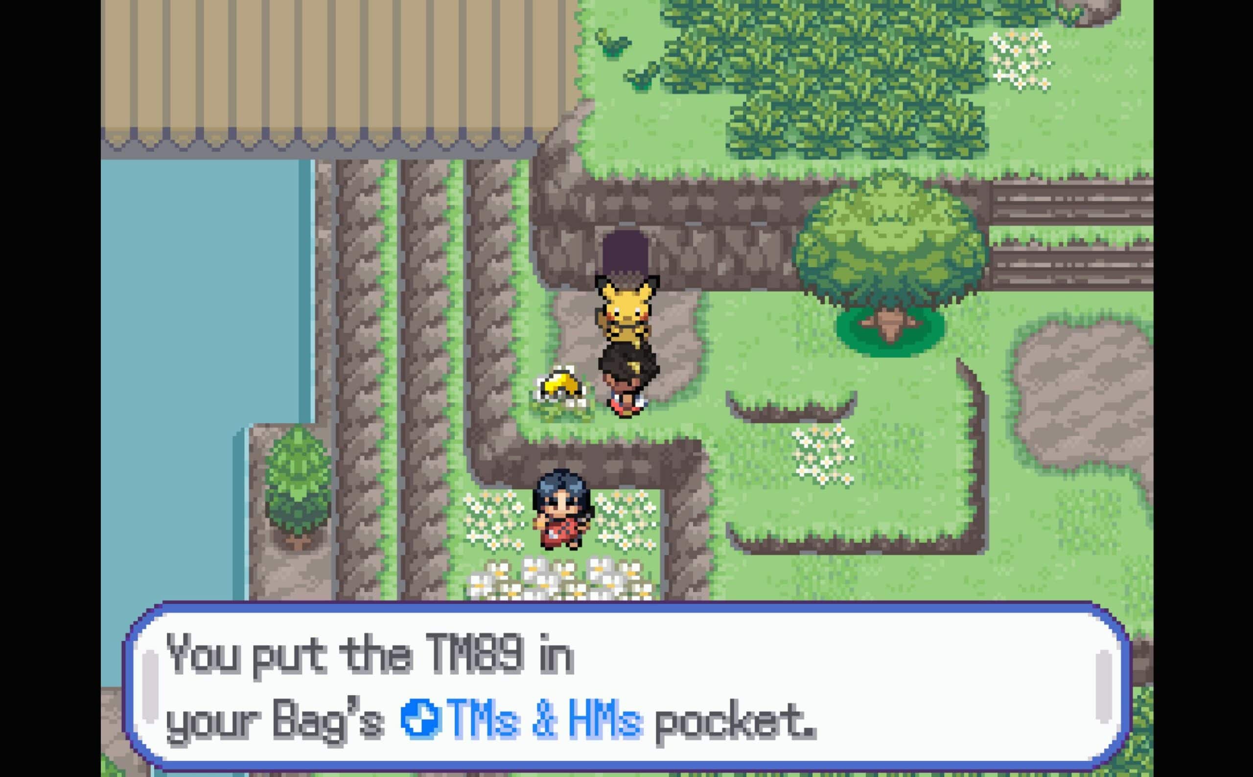 Pokemon Halycon Daisy Pass