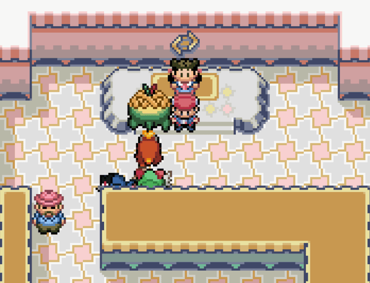 pokemon quetzal rustboro city