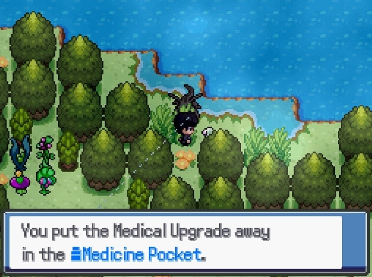 pokemon tectonic medical upgrade on eleig stretch river