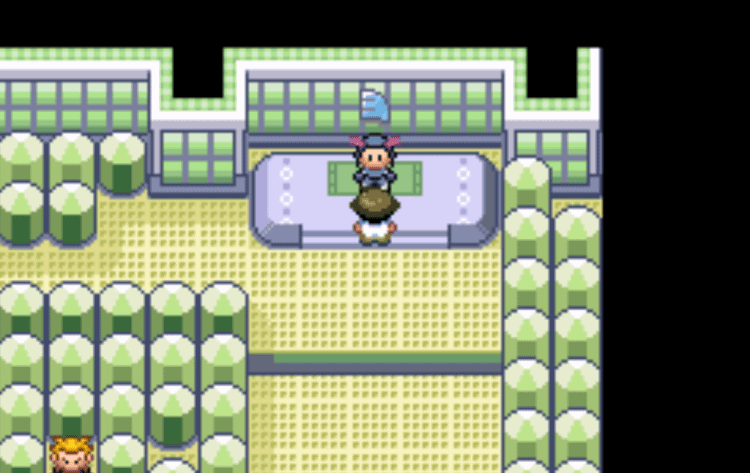 pokemon wally quest fortree city gym