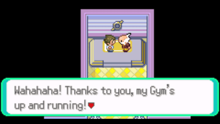 pokemon wally quest mauville city gym