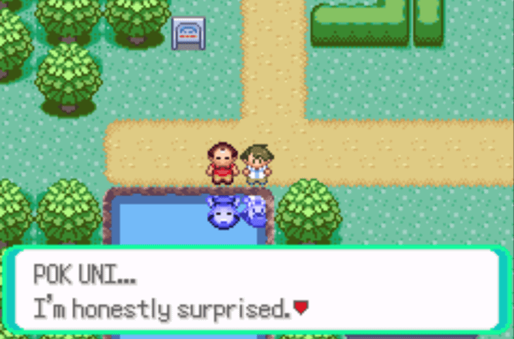 pokemon wally quest petalburg city gym